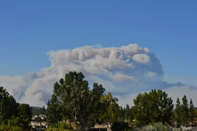 DSC_5605 (Large).JPG